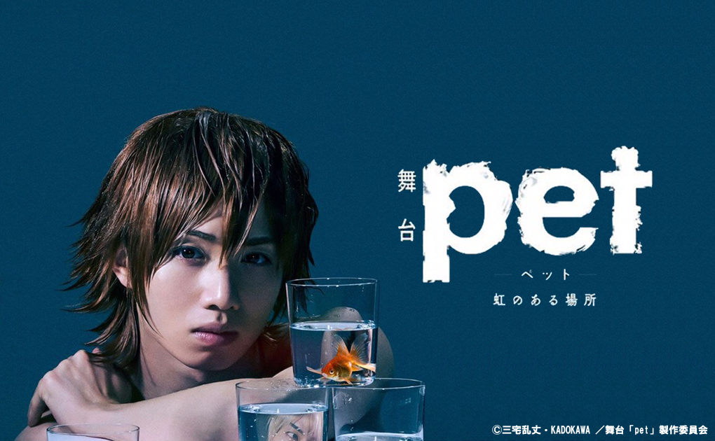 舞台「pet」