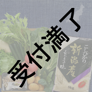 【新潟医療福祉大学 女子サッカー部】「新潟県産コシヒカリと野菜の詰め合わせ」＊金額は１口分
