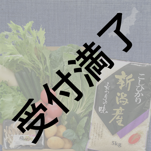 【新潟医療福祉大学 女子サッカー部】「新潟県産コシヒカリと野菜の詰め合わせ」＊金額は１口分