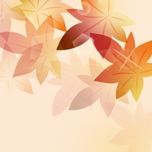 朗読劇「鬼の花嫁」会場装飾＊金額は１口分