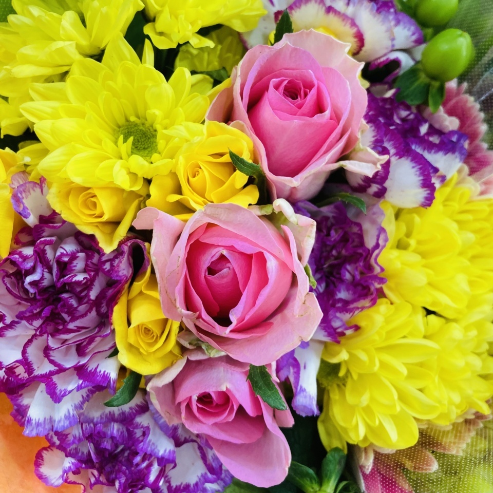 【映画『ぼったくり家族』完成試写会イベント】フラワースタンドまたは楽屋花＊金額は1口分