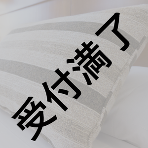 獅子神レオナさん用『ふかふかの枕とパンダ柄のカバー』 *金額は1口分