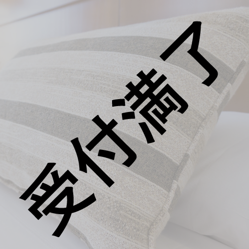 獅子神レオナさん用『ふかふかの枕とパンダ柄のカバー』 *金額は1口分